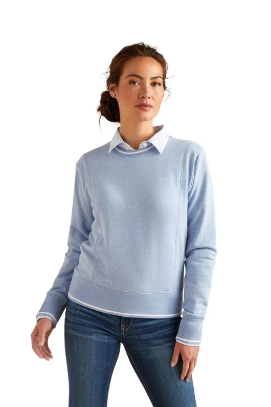 Tedstock Sweatshirt Hoodie with Embroidery Detailed Premium